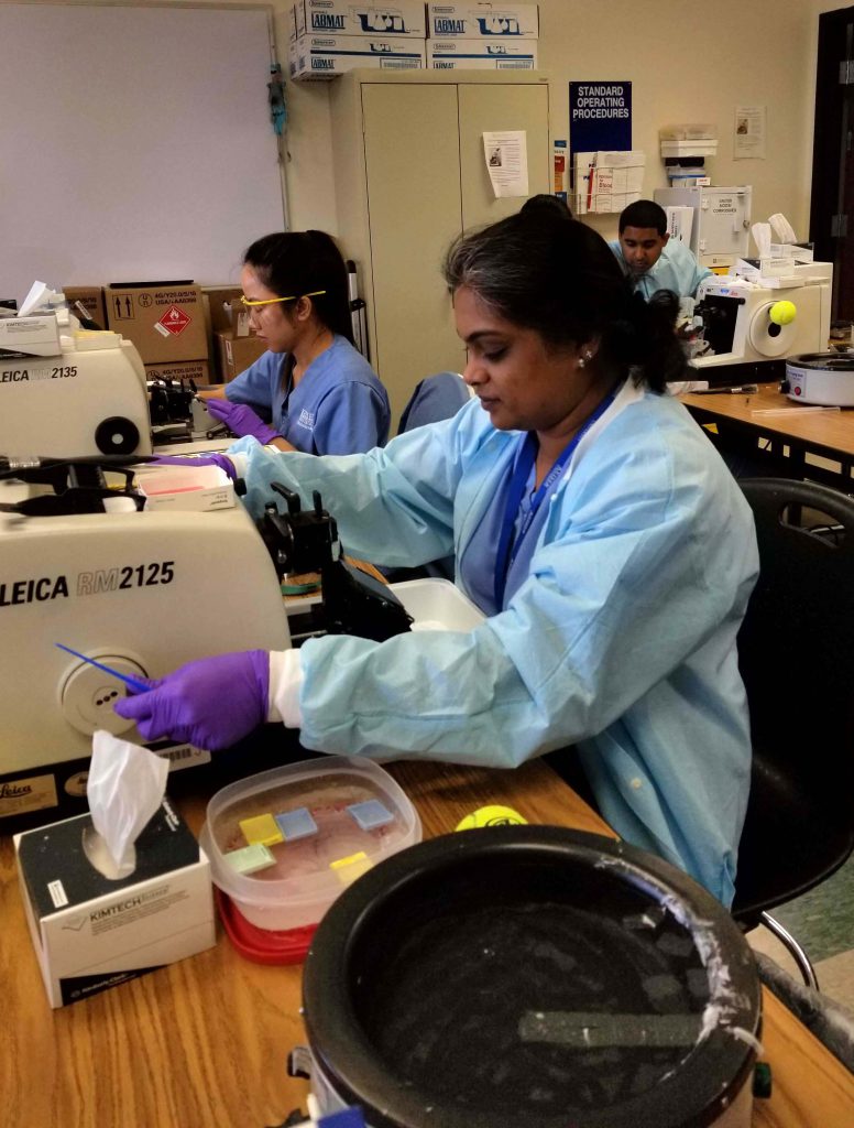 Orlando Campus Histotechnology Students One-Step Closer To Becoming ...