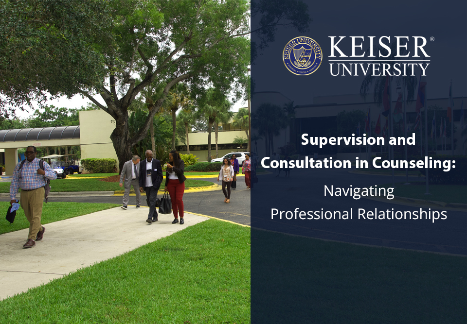 Supervision and Consultation in Counseling: Navigating Professional Relationships