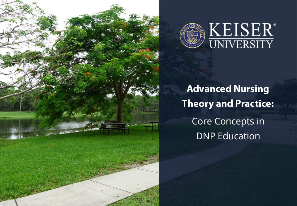 Advanced Nursing Theory and Practice: Core Concepts in DNP Education