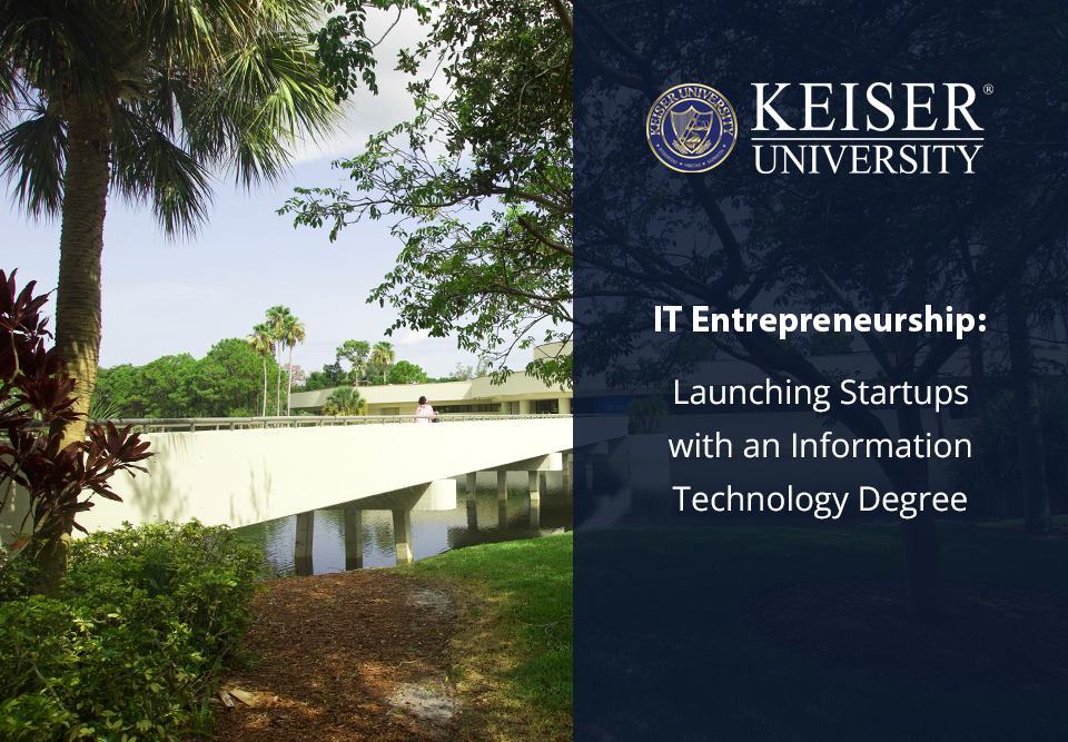 IT Entrepreneurship: Launching Startups with an Information Technology Degree