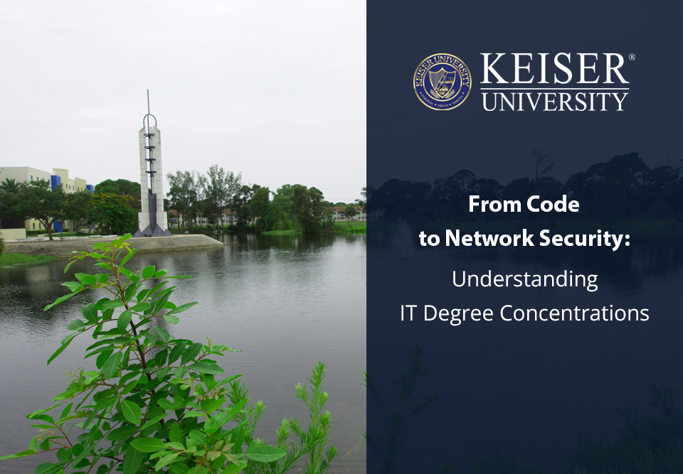 From Code to Network Security: Understanding IT Degree Concentrations